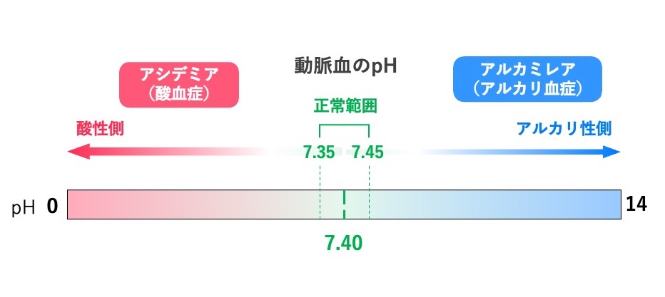 動脈血pHの正常範囲とアシデミア・アルカレミアの関係。正常範囲は7.35〜7.45で、7.35未満はアシデミア、7.45を超えるとアルカレミアとなる。