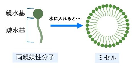両親媒性分子が集合して親水基を外側にしたミセルの模式図。