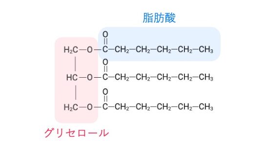 グリセロールに3本の脂肪酸が結合したトリグリセリドの構造図。