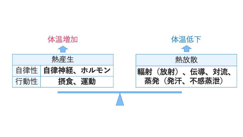 熱産生(自律性・行動性)と熱放散(輻射、伝導、対流、蒸発)のバランスによって体温が一定に保たれることを示す図。