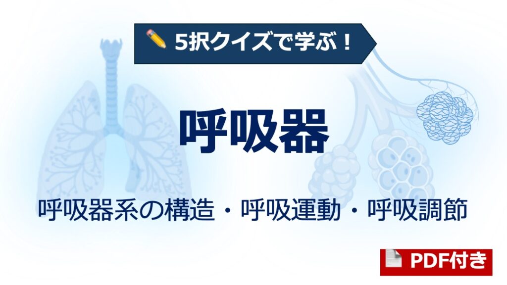 【呼吸器疾患】慢性閉塞性肺疾患（COPD）の基礎 を図解で総整理（要点解説） - 解いて覚える基礎医学