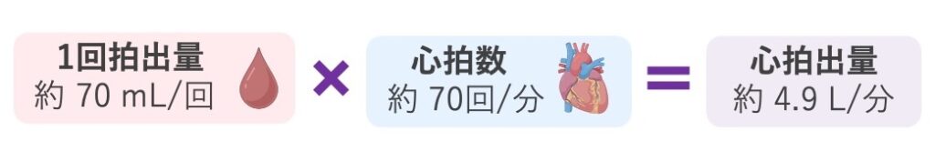 1回拍出量(約70mL/回)と心拍数(約70回/分)から、心拍出量(約4.9L/分)が求められることを示した模式図。心拍出量=1回拍出量×心拍数の関係を図解している。