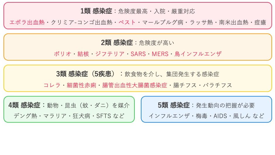 感染症法における1〜5類感染症の分類図。1類はエボラ出血熱やペストなど危険性が極めて高い感染症、2類は結核やSARSなど危険度の高い感染症、3類はコレラや腸管出血性大腸菌感染症など飲食物を介する感染症、4類は動物・昆虫を介する感染症、5類はインフルエンザや梅毒など発生動向の把握が必要な感染症を示している。