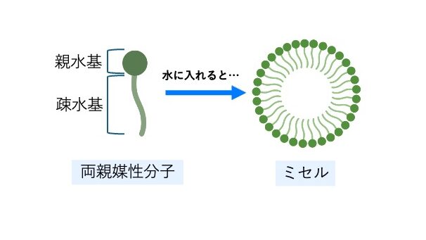 両親媒性分子が集合して親水基を外側にしたミセルの模式図。