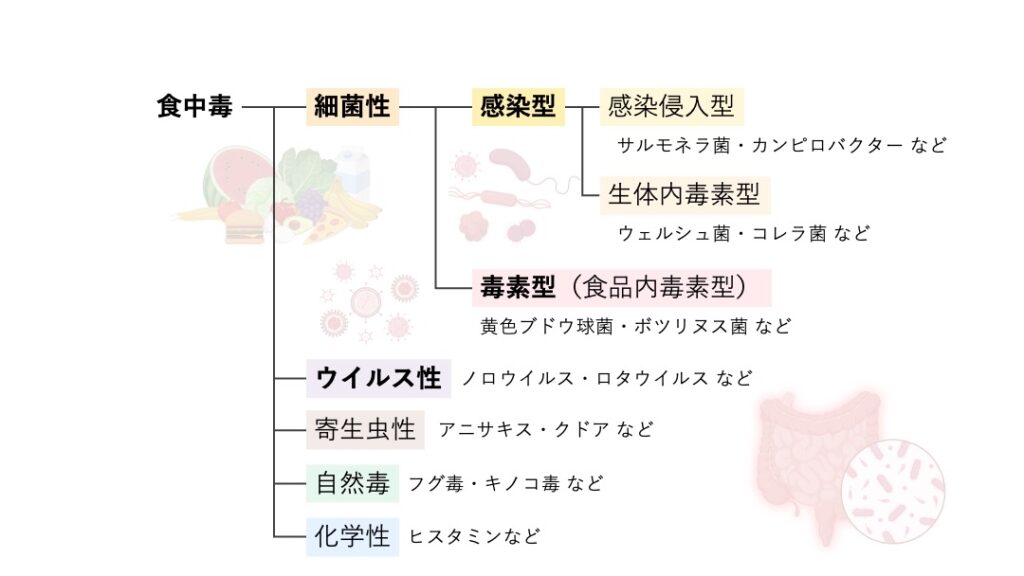 食中毒の分類図。食中毒は細菌性、ウイルス性、寄生虫性、自然毒、化学性に分類される。細菌性食中毒は感染型と毒素型に分かれ、感染型はさらに感染侵入型と生体内毒素型に分類される。代表例として、感染侵入型にはサルモネラ菌・カンピロバクター、生体内毒素型にはウェルシュ菌・コレラ菌、毒素型には黄色ブドウ球菌・ボツリヌス菌、ウイルス性にはノロウイルス・ロタウイルスが示されている。
