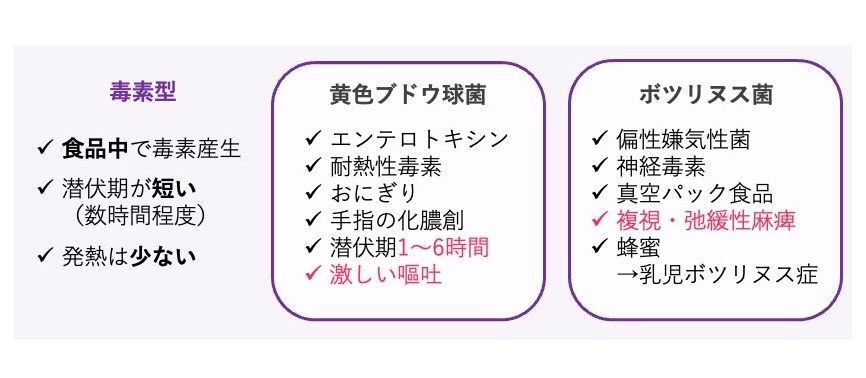 毒素型食中毒のまとめ図。毒素型食中毒は食品中で産生された毒素によって発症し、潜伏期が短く発熱は少ない。黄色ブドウ球菌はエンテロトキシン、耐熱性毒素、おにぎり、手指の化膿創、潜伏期1〜6時間、激しい嘔吐が特徴。ボツリヌス菌は偏性嫌気性菌、神経毒素、真空パック食品、複視、弛緩性麻痺、蜂蜜による乳児ボツリヌス症が特徴。