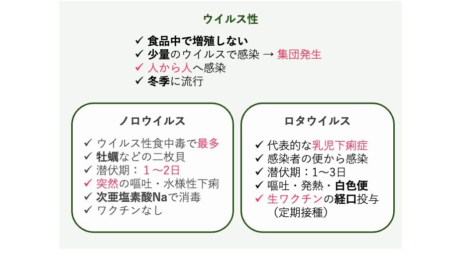ウイルス性食中毒の特徴と、ノロウイルス・ロタウイルスの要点をまとめた図。ウイルス性食中毒は食品中で増殖せず、少量のウイルスで感染し、人から人へ感染する。ノロウイルスは牡蠣などの二枚貝、潜伏期1〜2日、突然の嘔吐が特徴。ロタウイルスは乳幼児に多く、白色便や生ワクチンの経口投与が特徴。