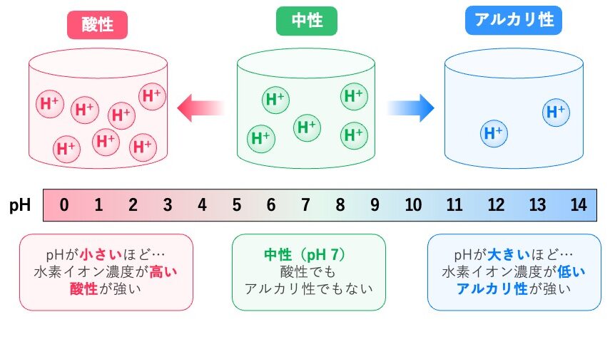 pHと水素イオン濃度の関係。pHが小さいほどH⁺濃度が高く酸性が強い。pH 7は中性で、pHが大きいほどH⁺濃度が低くアルカリ性が強い。